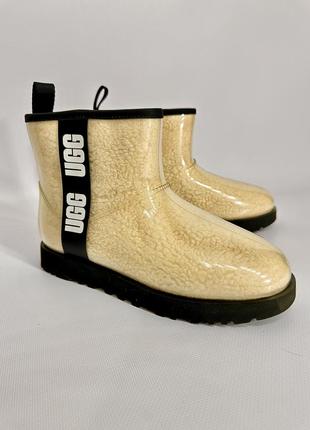 Черевики ugg1 фото