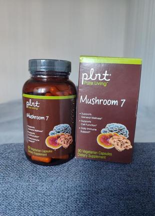 Гриби для імунітету шиитаке plnt mushroom 7