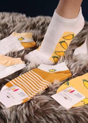 Шкарпетки жіночі