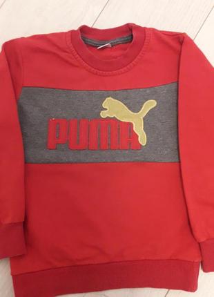 Фирменный сведрик от puma,