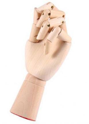 Деревянная рука resteq 29см модель для держания товара, для рисования (мужская)