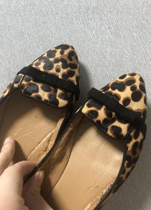Туфлі, балетки леопард