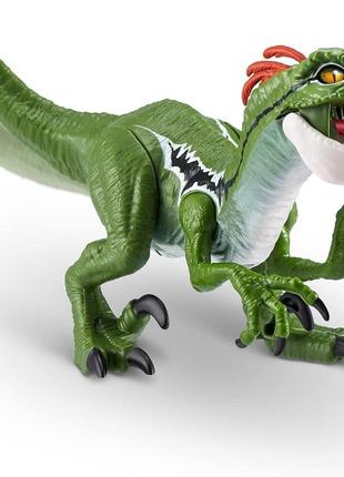 Інтерактивний динозавр robo alive dino action raptor by zuru dinosaur toys.