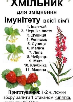 Духмяний подільський чай "хмільник" для зміцнення імунітету всієї сім'ї, 120 грам код/артикул 111