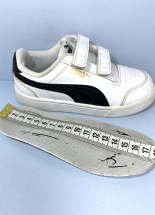 Кроссовки puma5 фото