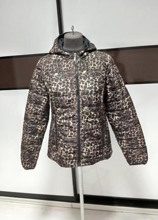 Куртка леопард