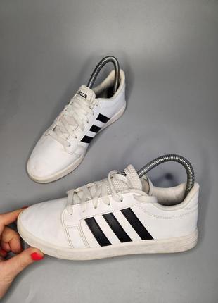 Кросівки adidas