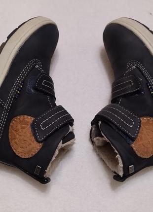 Кожаные демисезонные утепленные ботинки хайтопы lurchi 27 17,см3 фото