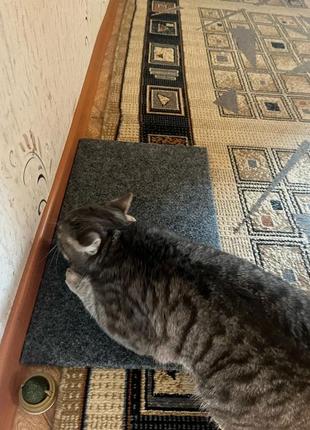 Кігтеточка лежанка підлогова з килималіна для кішки 50*30 см, для кішок; для котів; для кошенят1 фото