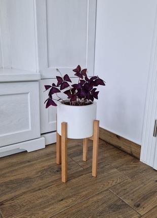 Подставка для вазона, цветов 20.3x30 см из дерева  wooddecor покрытая лаком1 фото
