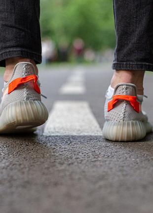 Кроссовки мужские adidas 6