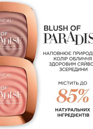 Румяна для лица l`oreal paris blush of paradise 01 - life's a peach6 фото