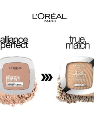 Пудра для лица l'oreal paris true match super blendable powder r2/c2 rose vanilla8 фото