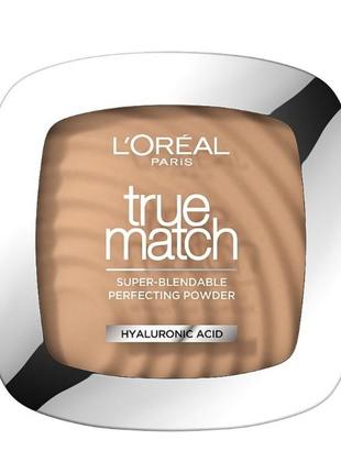 Пудра для лица l'oreal paris true match super blendable powder 3r/3c - rose beige1 фото