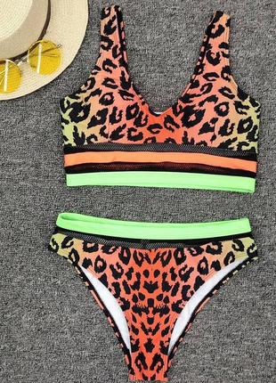 Леопардові купальники з яскравими неоновими смужками.