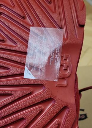 Черевики ugg