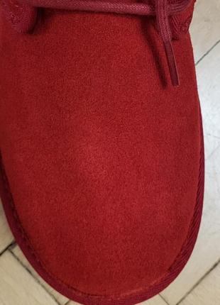 Черевики ugg