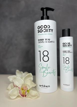 Шампунь для щоденного застосування artego good society 18 every you gentle shampoo