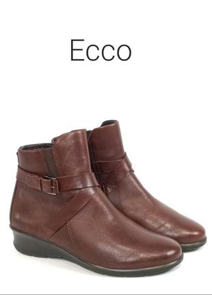 Кожаные женские ботинки ecco abelone cross buckle оригинал