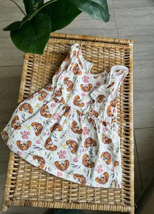 Маєчка