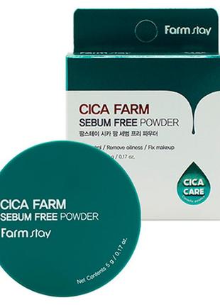 Пудра для лица farmstay cica farm sebum free finish powder 5 г1 фото