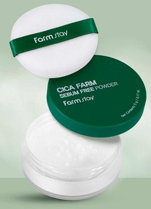 Пудра для лица farmstay cica farm sebum free finish powder 5 г3 фото