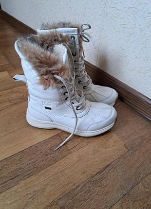 Зимние сапоги ботинки ugg andirondack5 фото