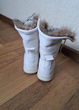 Зимние сапоги ботинки ugg andirondack6 фото