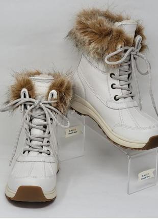 Зимние ботинки натуральная кожа ugg1 фото