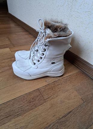 Зимние ботинки натуральная кожа ugg3 фото