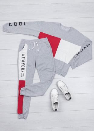 Стильний сірий спортивний костюм штани батник світшот