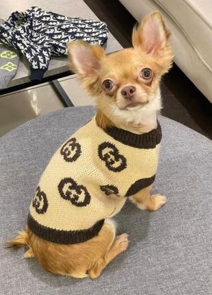 Брендовый свитер для собак gucci без передних лапок, с большими коричневыми значками бренда, бежевый3 фото