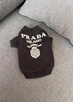 Брендовый свитер для собак prada с логотипом на спине белого цвета, черный