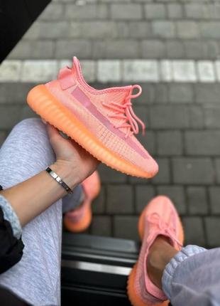 Кросівки жіночі