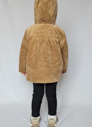 Куртка вельветовая, велюровая демисезонная бемби, куртка весенняя с капюшоном bembi, размер 86, 92, 988 фото