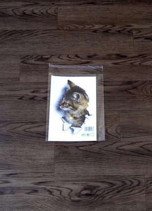 Интерьерная наклейка cd кошка xh2002 25х16,5см2 фото