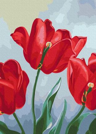Картины по номерам "красные тюльпаны © anna steshenko" раскраски по цифрам. 40*50 см.украина