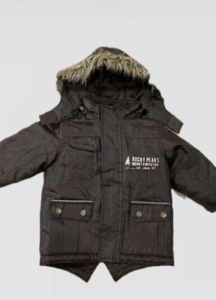 Фирменная куртка-куртка детская может быть деми