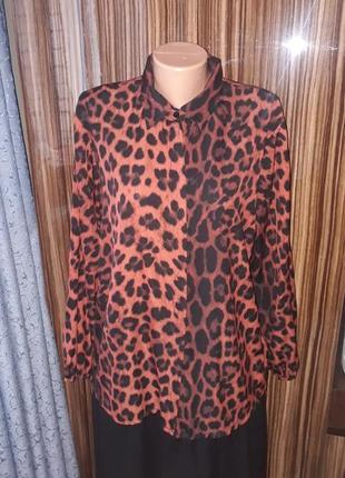 Шикарная натуральная блузка, блуза, лео,большой размер1 фото