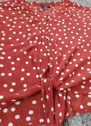 Блуза в горошок на гудзиках з завьязкой,блузка на гудзиках із зав'язкою2 фото