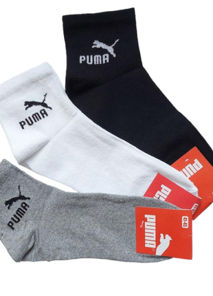 6 пар асорті шкарпетки чоловічі "puma" пума 41-45р, демисезонні чоловічі шкарпетки, шкарпетки середної висоти