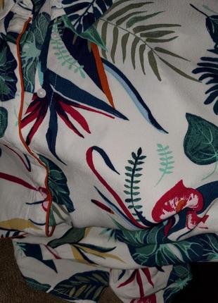 Красивая блуза, лампасы, тропический принт monsoon8 фото