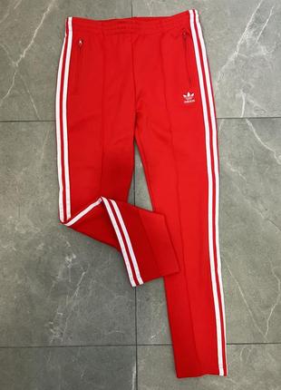 Красные брюки adidas красочное брюки adidas2 фото