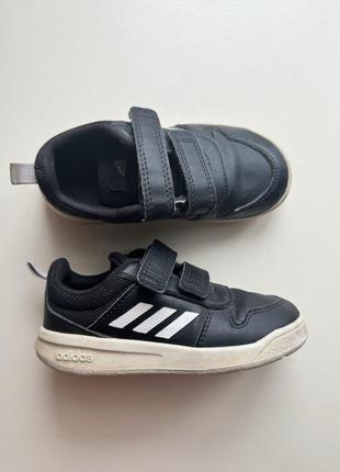 Кросівки adidas