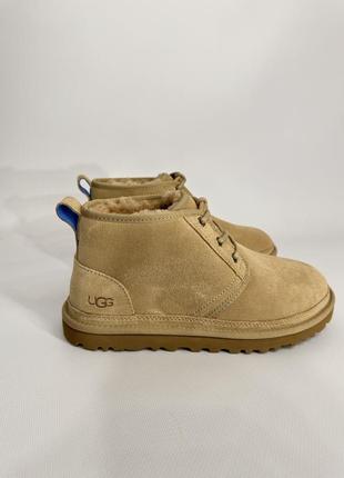 Кросівки ugg