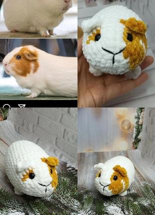 Мурчаки, морские свинки