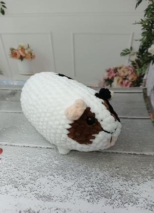 Мурчаки, морские свинки