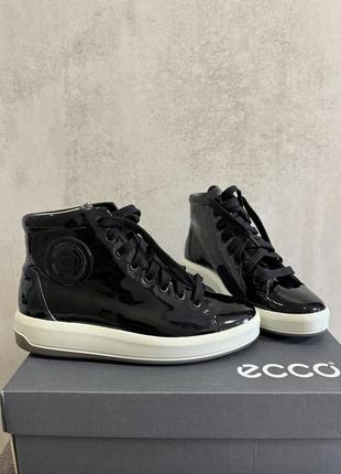 Черевики ecco