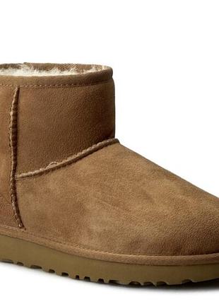 Ugg оригинал