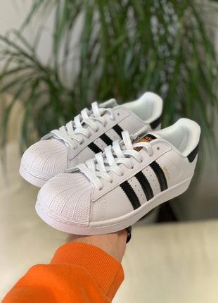 Кеди жіночі adidas superstar